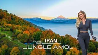 IRAN - Magic Place - Walking Tour in Amol City Jungle | Mazandaran