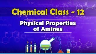 Physical Properties Of Amines - Compounds Containing Nitrogen - Chemistry Class 12