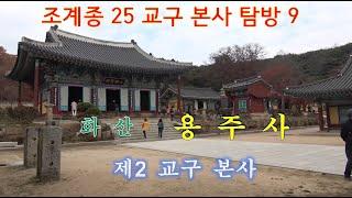 [조계종 25 교구 본사 탐방 9] 용주사(화산)은 융건릉의 원찰/ 제2 교구 본사/고산봉채널