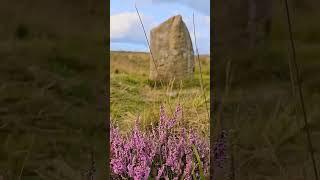 Barbrook One Heather In Bloom Peak District | Solo Hiking