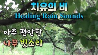 Rain sounds to calm the nervous system and relax the mind / Rain sounds for insomnia treatment