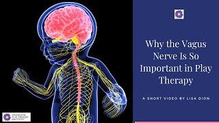  Why the Vagus Nerve is Important in Play Therapy