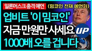 도지코인 시바이누 그리고 '이 밈코인' 1000배 오를 겁니다 "앞으로 이렇게 될 겁니다"