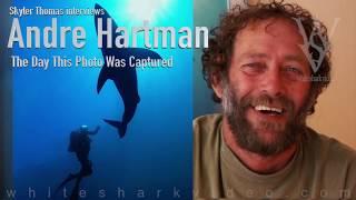 Andre Hartman - Cageless with White Sharks