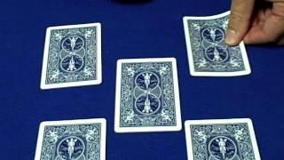 Read FIVE MINDS at Once - Card Tricks Revealed