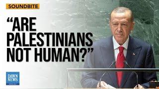 What's holding us back from stopping Netanyahu?: Turkish President Erdogan  | Dawn News English