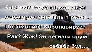 Кыргызстанда адамдар эң көп кайсы оорулардан көз жумушат?