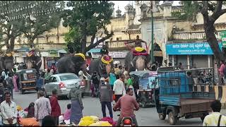 Mysore Dasara 2024 : Jumbo Rehearsal 21.09.2024