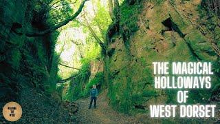 Exploring The Magical Holloways of West Dorset | Shute's Lane, Hell Lane and Colmer's Hill