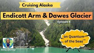 Endicott Arm & Dawes Glacier - Scenic Sailing - Don't Sleep Through It!