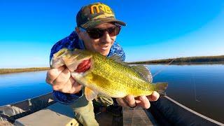 Fresh VS Brackish Water BASS FISHING