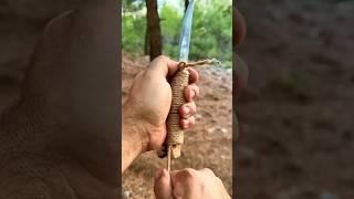 Survival skills: Great knife Lifehack #survival #bushcraft #camping