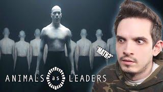 Metal Musician Reacts to ANIMALS AS LEADERS | Monomyth |