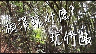 竹子可以玩什麼？桐溪日記【口羊太太】