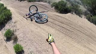 Rattlesnake hit by a Mtn Bike