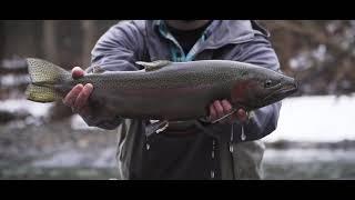 Epic Fly Fishing B-Roll edit | Steelhead Version