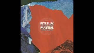 Pete Flux & Parental - Travelling Thought (Full Album)