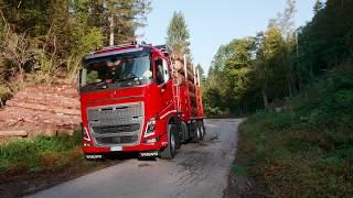 Loglift Holzkran auf Volvo Chassis mit ExTe Rungen