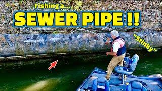 Fishing a SEWER PIPE on the TENNESSEE RIVER !!! (Special Guest Fisherman)