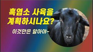 01 흑염소 사육을 계획하시나요 이것만은 알아야