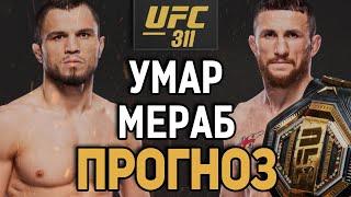 МЕРАБА НЕДООЦЕНИВАЮТ?! Умар Нурмагмедов vs Мераб Двалишвили /  Прогноз к UFC 311