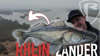 After Work Session am Rhein mit Zandertokker (Marcel Zeptner) | FOX RAGE TV Raubfischangeln