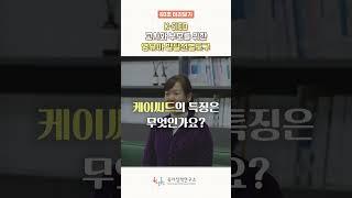 [60초 미리보기] K·SIED 교사와 부모를 위한 영유아 발달선별도구