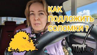 ПРАВИЛЬНОГО решения НЕ БУДЕТ ! /надо ПОДОБРАТЬ слова / наш ТИХИЙ район ? /Курицы в магазине /Закупка