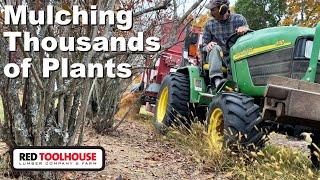 How ONE MAN Mulches 3000 Blueberry Plants