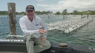 Catching Bream on Soft Plastics with Michael Guest