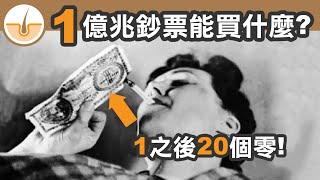 面額最大鈔票? 尺寸最大鈔票? 最高價值鈔票? 鈔票離奇小知識 (繁體中文字幕)