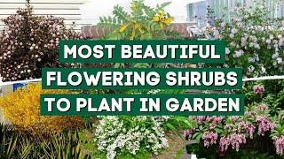 The Most Beautiful Shrubs to Plant in Your Garden  || PlantDo Home & Garden 