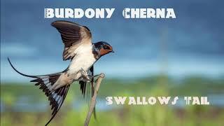 Burdony Cherna - Swallow's Tail