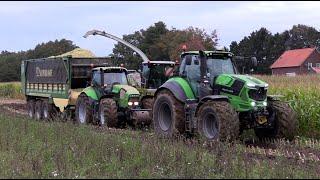 Maïs 2024 | Claas Jaguar 850 sleept Deutz 7210 mee met aanmaaien | Deutz 8280 sleeptractor | Vecunda