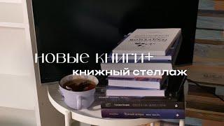 Книжные новинки 2024! Заполняем новый стеллаж! 16/18+