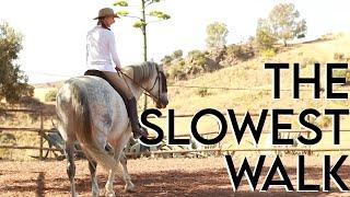 The Slowest Walk | Exercises to get to the feet part 1