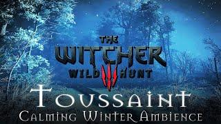 Winter at Toussaint - Snowy Nature | The Witcher 3 - Relaxing Music & Ambience