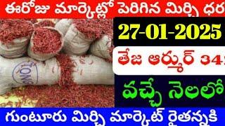 27-01-2025 గుంటూరు మిర్చి మార్కేట్ ధర || Today #MirchiRates In market ||  Mirchi Rate Increase ??