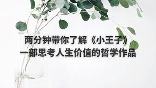 两分钟探究《小王子》：一部思考人生价值的哲学作品