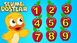 Sevimli Dostlar ile sayıları öğreniyorum | Say bakalım | Bebek Şarkıları | Kids songs Nursery Rhymes