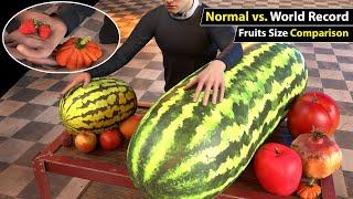 Unbelievable Fruit Size Comparison: Normal vs. World Record