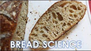 The Science of Bread (Part 1) - Flour Water Yeast Salt