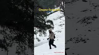 Chopta-Tungnath Snowfall in December #snowfall #choptatungnath #uttarakhand