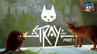  [Stray] We go on an Adventure!  | Part 1 | LiamxF