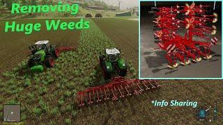 Remove Medium Level Weeds without Herbicide! Get 100% Yield Bonus! FS22 Info Sharing | Hoe, Weeder