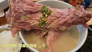 초보유툽. 짬내서 올리는 제주맛집 접짝뼈국맛집 '넉둥베기'