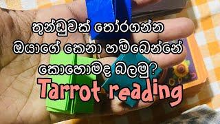 ඔයාගේ කෙනා හම්බෙන විදිය බලමු|තුන්ඩුවක් තෝරන්න|Tarrot reading