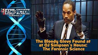 The Bloody Glove Mark Fuhrman Found at the Home of OJ Simpson - The Forensic Evidence