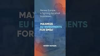 Renew Europe protects your business!