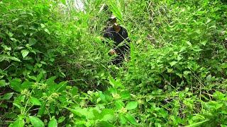 I Found a Path Under the Reeds That Had Been Abandoned for Many Years